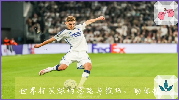 世界杯买球的思路与技巧，助你精准选择胜负投注