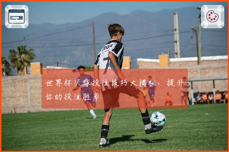 世界杯买球投注技巧大揭秘，提升你的投注胜率