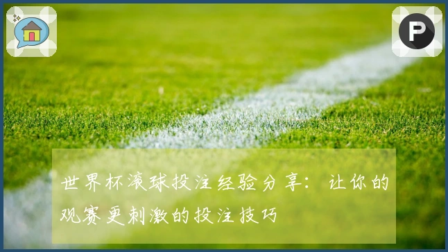 世界杯滚球投注经验分享：让你的观赛更刺激的投注技巧