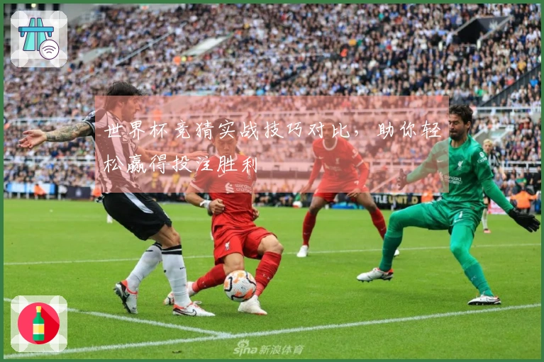 世界杯竞猜实战技巧对比，助你轻松赢得投注胜利