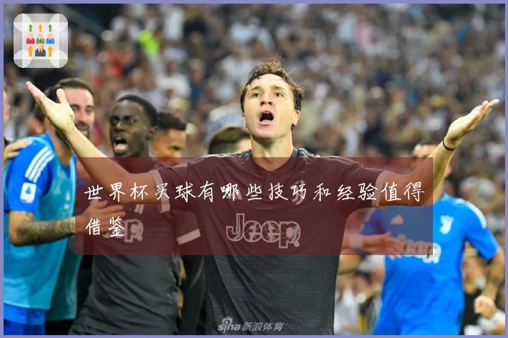 世界杯买球有哪些技巧和经验值得借鉴