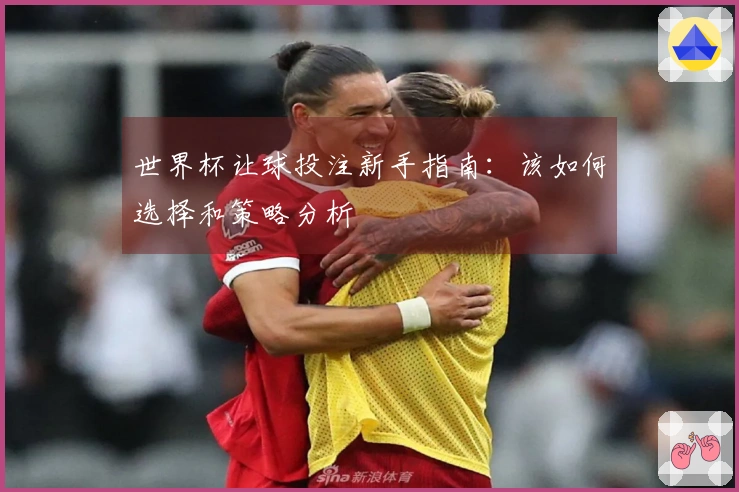 世界杯让球投注新手指南：该如何选择和策略分析