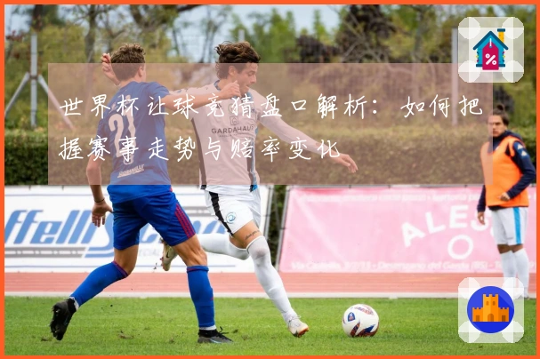 世界杯让球竞猜盘口解析：如何把握赛事走势与赔率变化