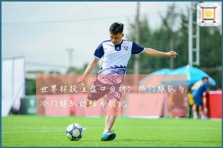 世界杯投注盘口分析：热门球队与冷门球队的赔率对比